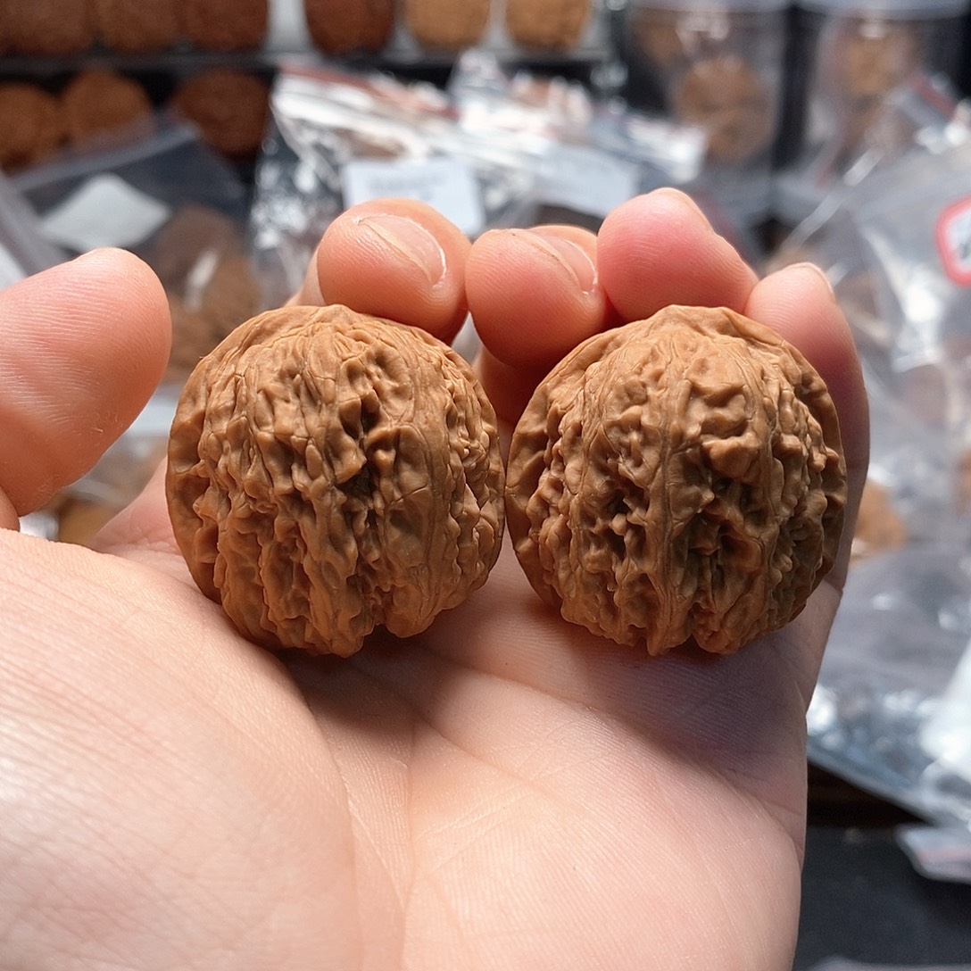 1文玩核桃龙王胆35-353