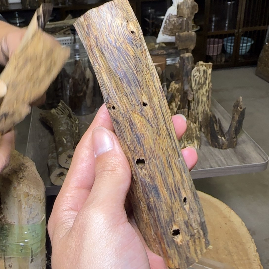 线香绿奇虫漏原料发一份