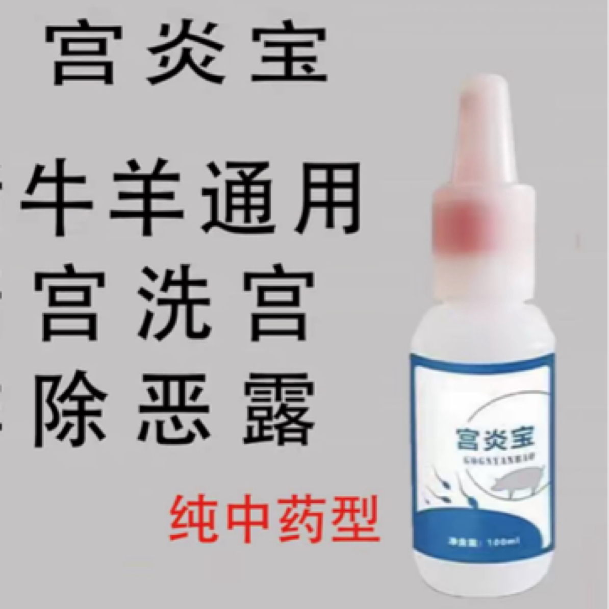 母猪必备宫炎宝营养用