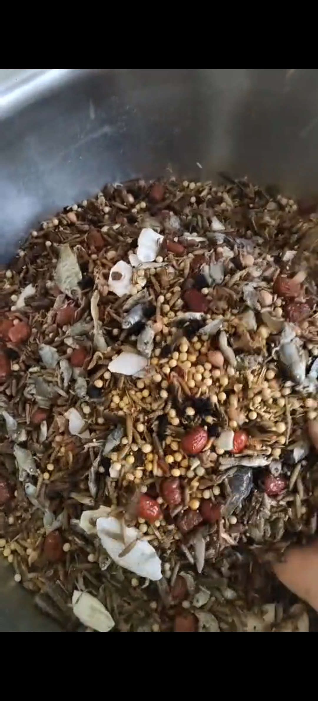 精品小八哥专用饲料