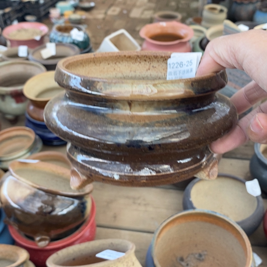 25号多肉盆口径11