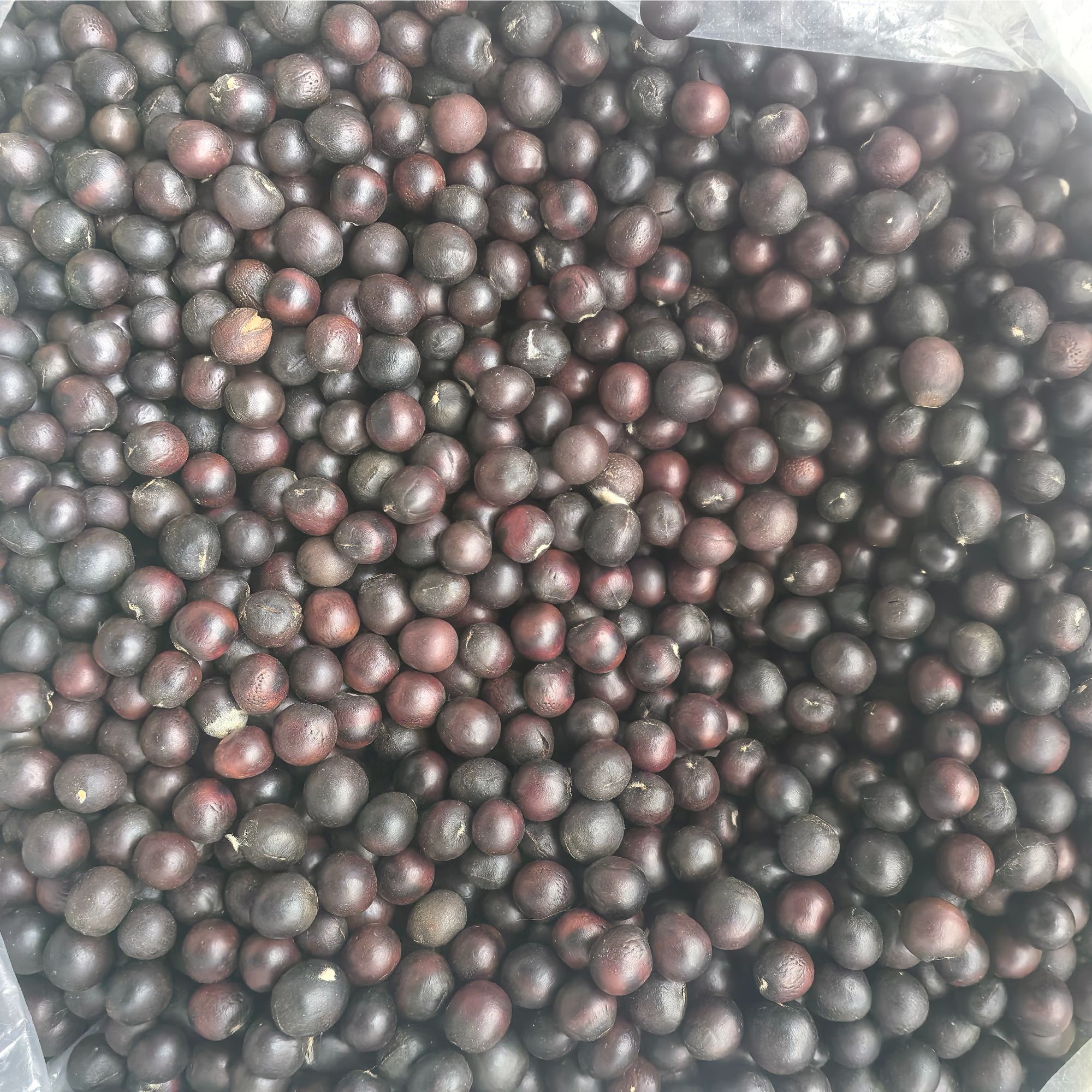 无患子  鬼见愁  原籽  散珠  DIY手工   手串串珠  追求圆度慎拍