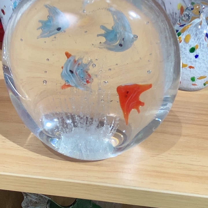 微瑕115555355669969