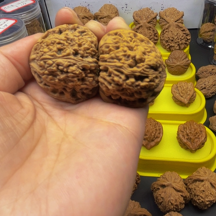 把件文玩核桃枯***春