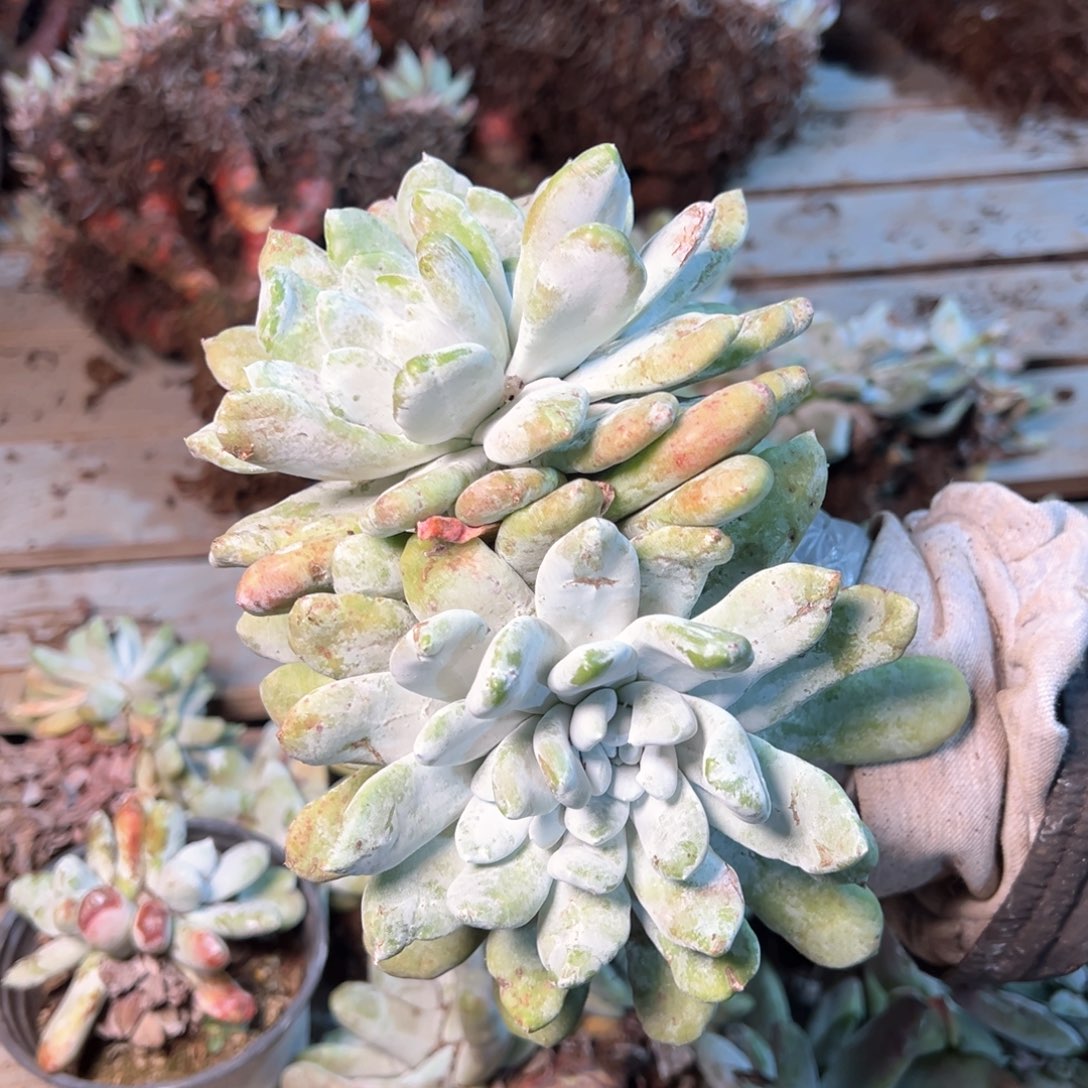 7342哈哈哈哈哈哈哈哈哈