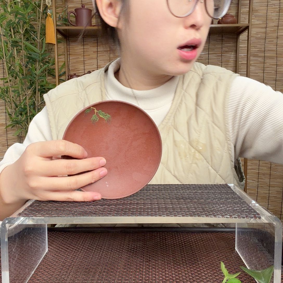 茶壶紫砂泥绘树叶树叶盘