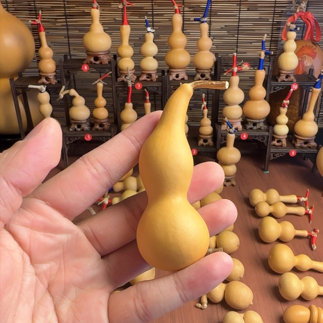 本捻葫芦……………………………………