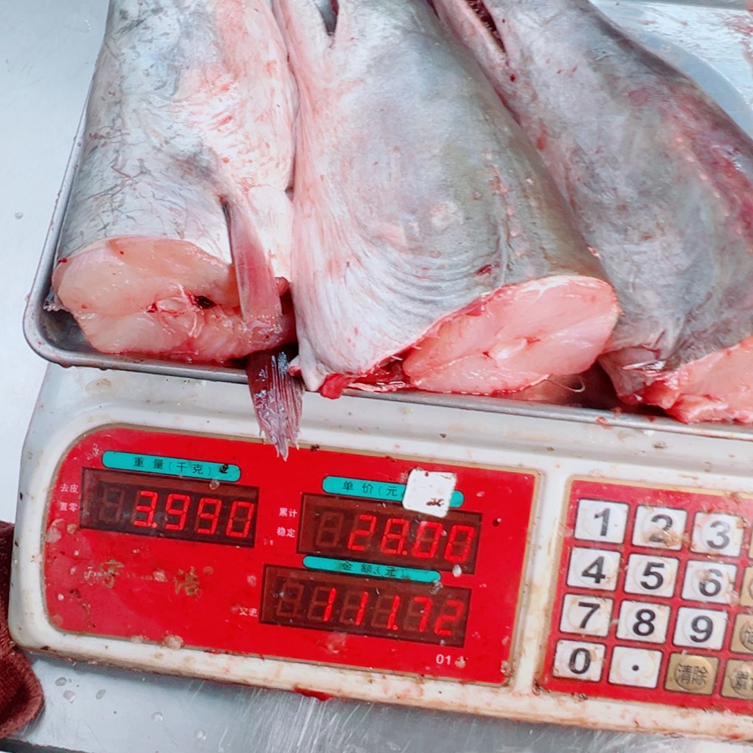 中国大陆三个鳗鱼头