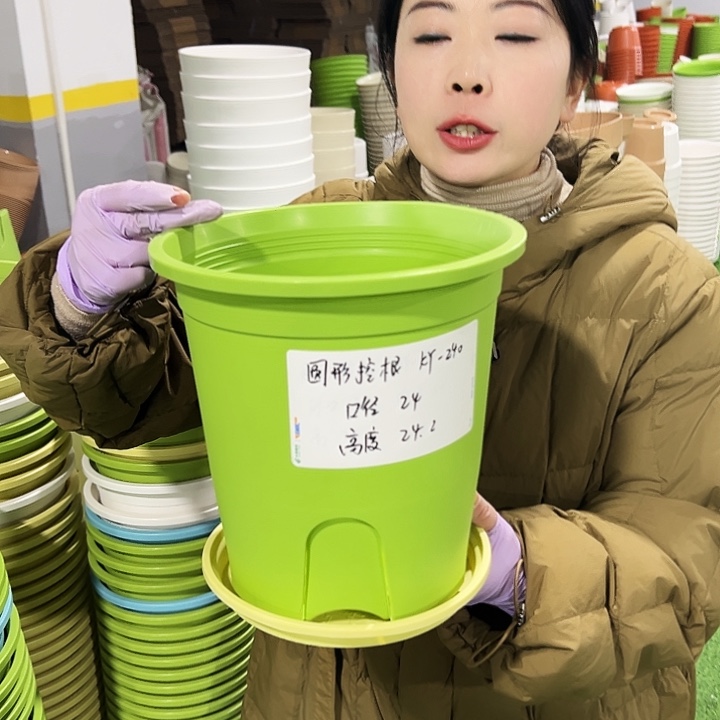 正品圆控口24高24白色8只带托