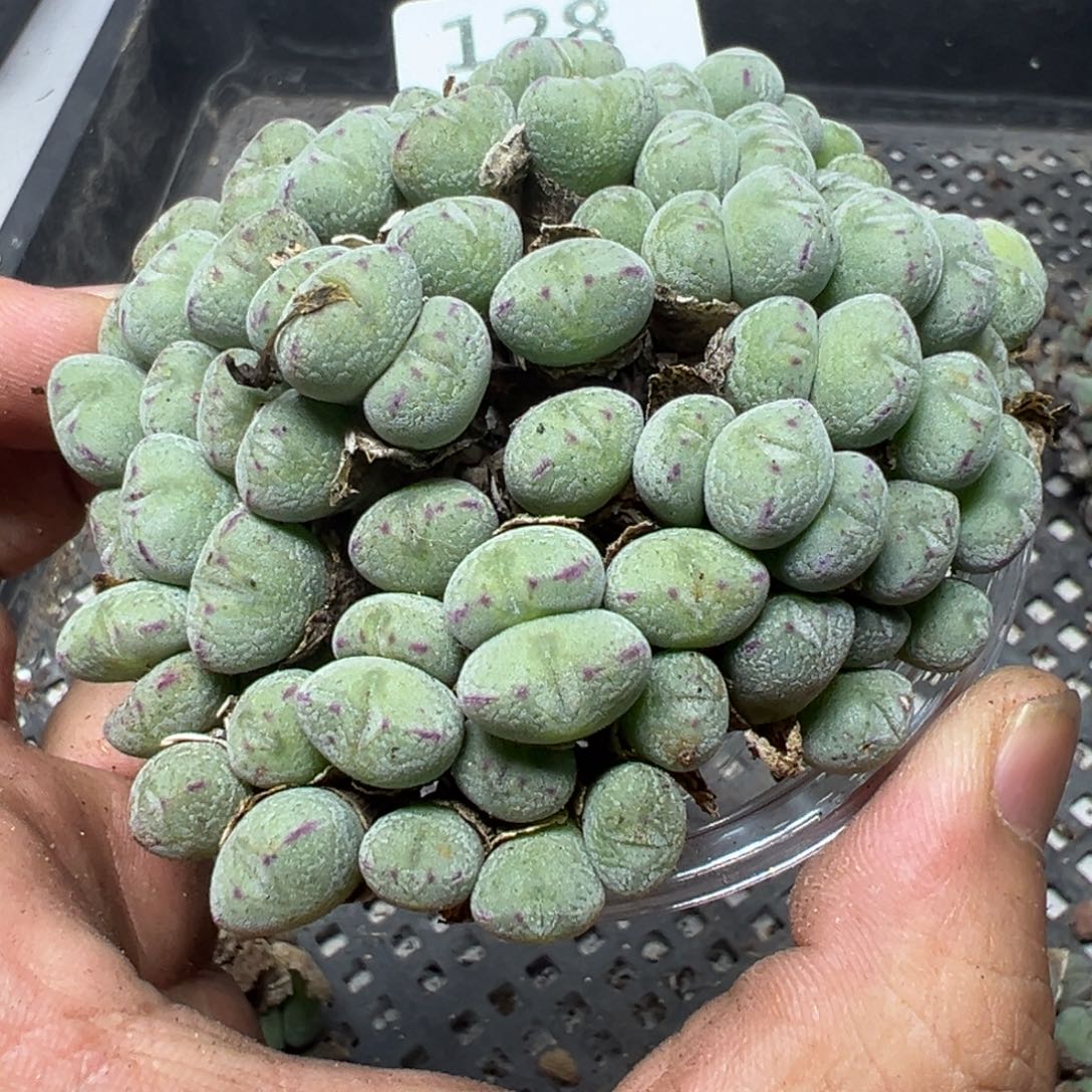 【闪购商品】 128。    