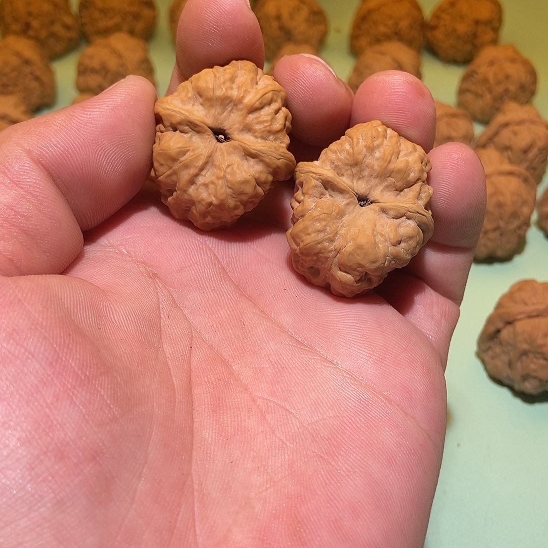 文玩核桃吊坠?****?蛤蟆头31一对