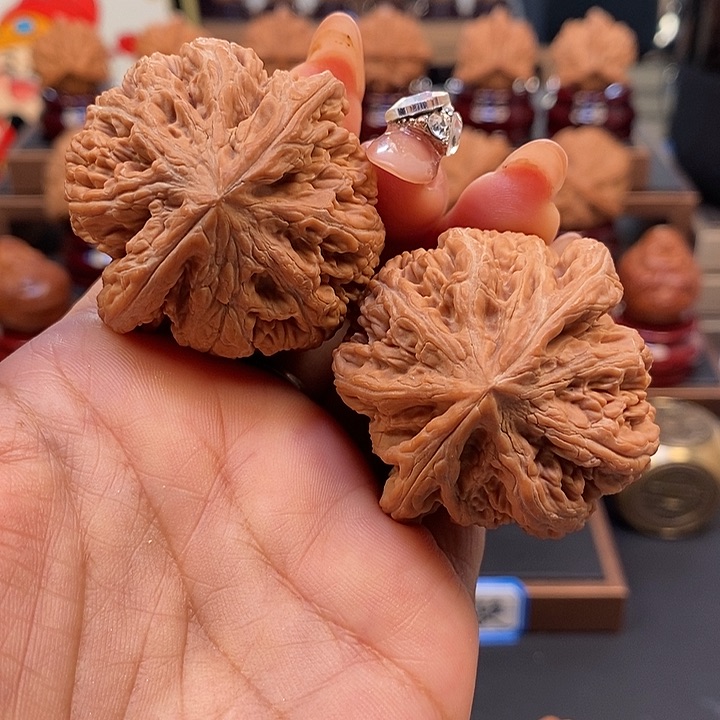 文玩核桃吊坠45大粗筋