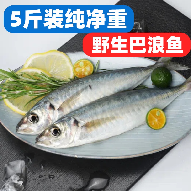 5斤纯净重野生巴浪鱼深海捕捞无冰衣每条单独包装顺丰发货