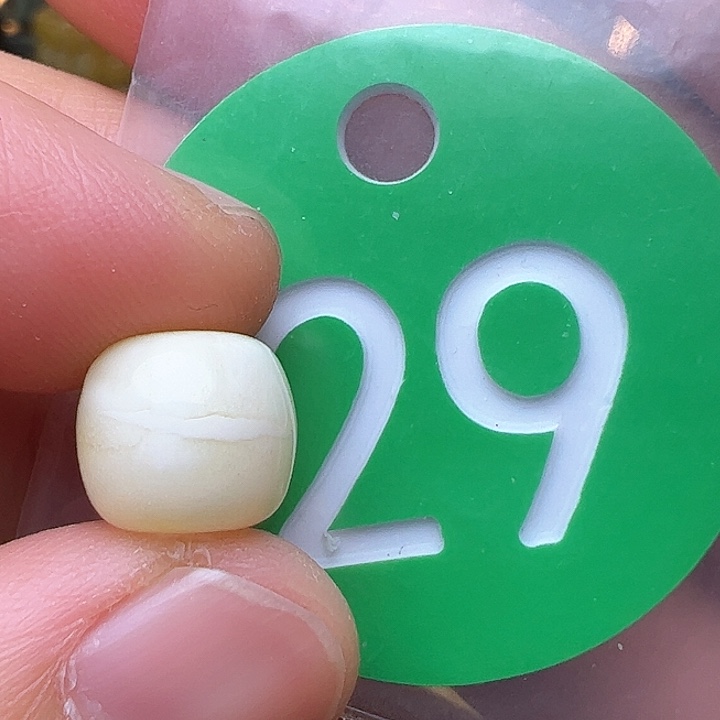 蜜蜡裸石未镶嵌10/9m m