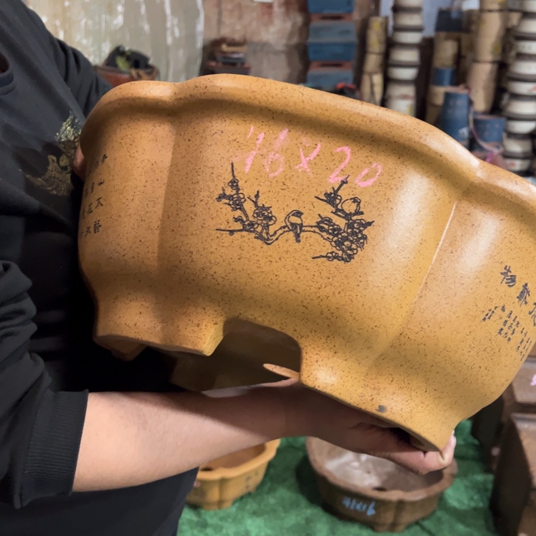 紫砂花盆紫砂花盆