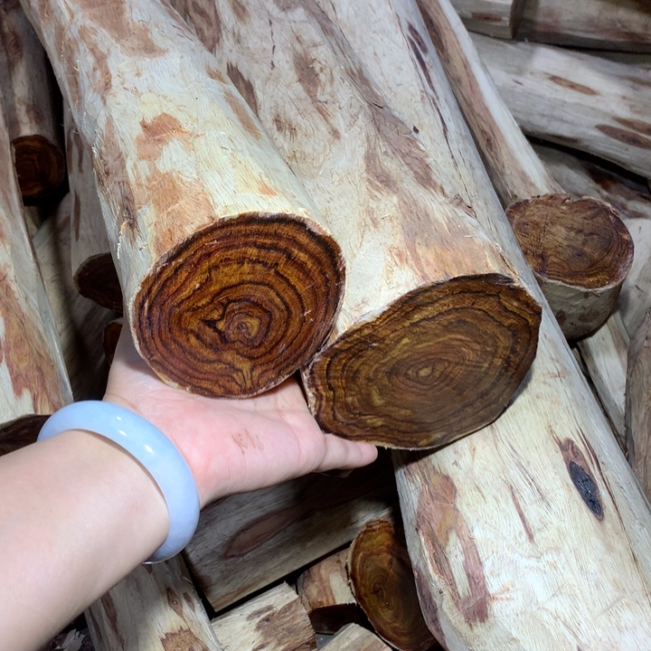 花梨木类海南黄花梨