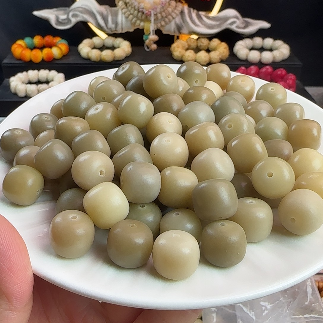 手串菩提根/象牙果卡14灰绿桶100颗