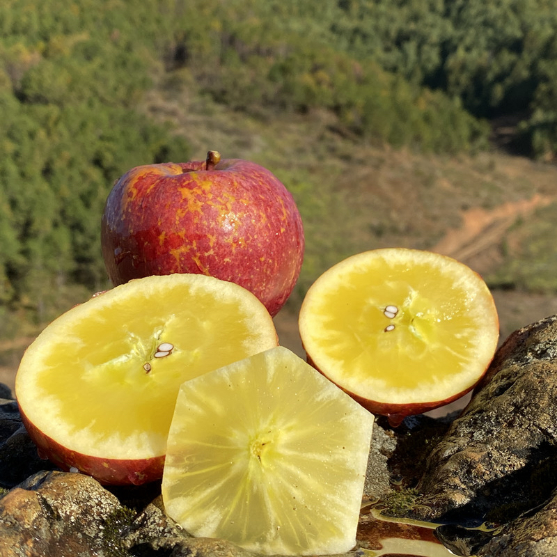 【顺丰速运】四川盐源糖心丑苹果新鲜现摘脆甜多汁（坏果包赔）