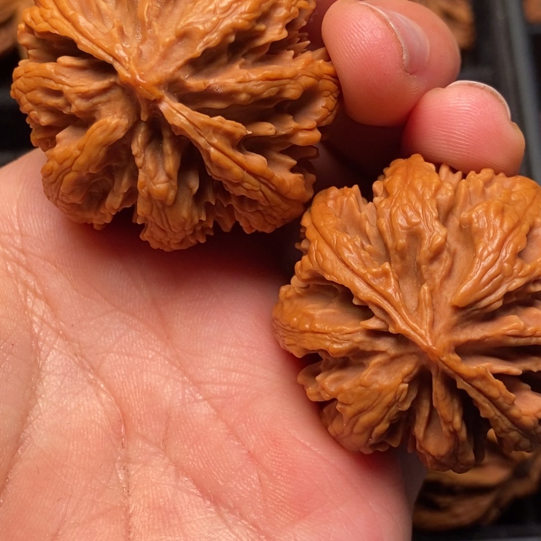 文玩核桃吊坠秦岭山脉核桃