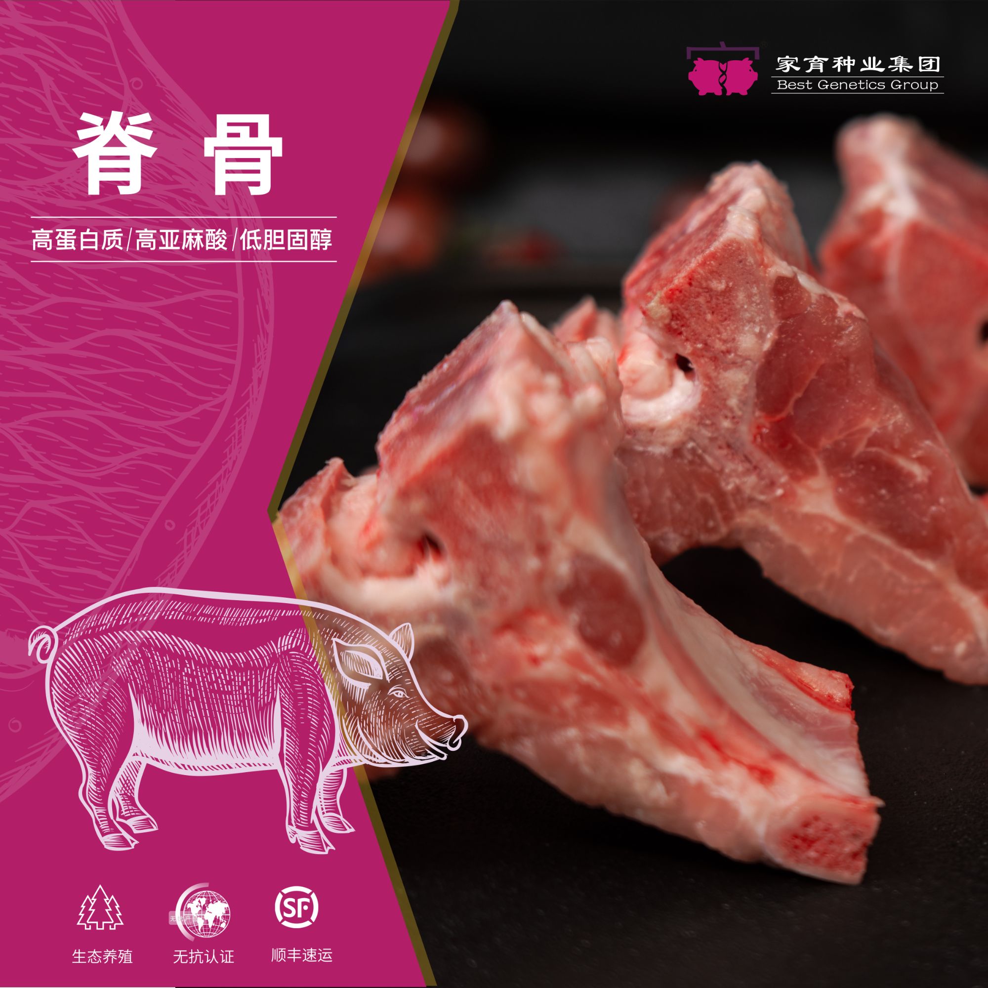 家育小黑豚土猪脊骨散养猪龙骨包邮500g*4