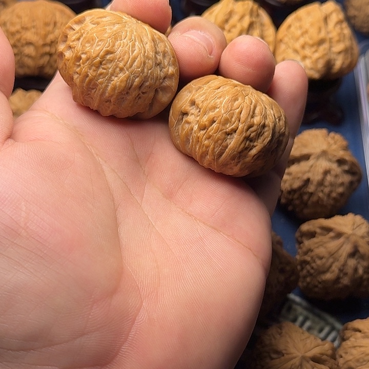 40全品无修铁锤妹妹