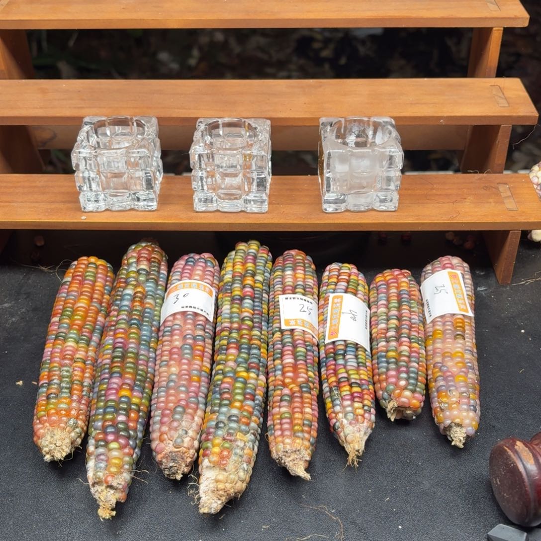银S925七彩宝石文玩玉米