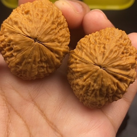 文玩核桃把件41尺密纹狮子