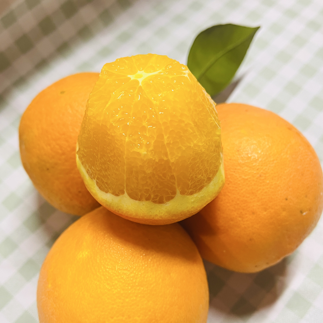 纯甜锦橙10斤48元包邮