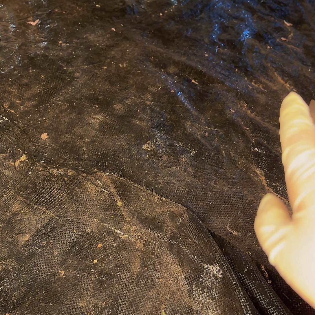 ❤️****啦啦咯哦哦哦哦哦女咯