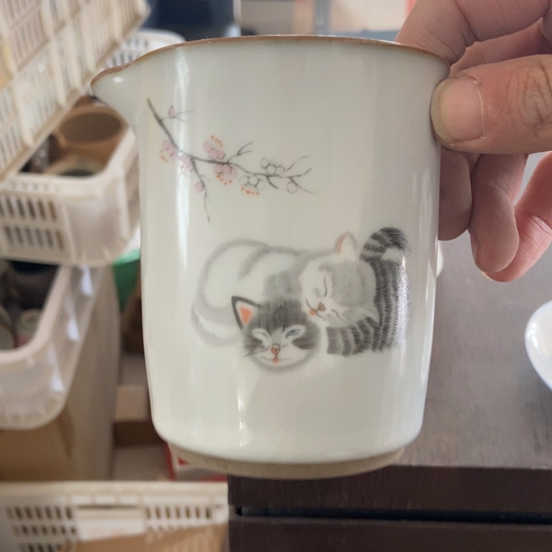 杯直播链接直播链接