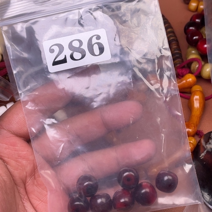 驼骨其他人工养殖