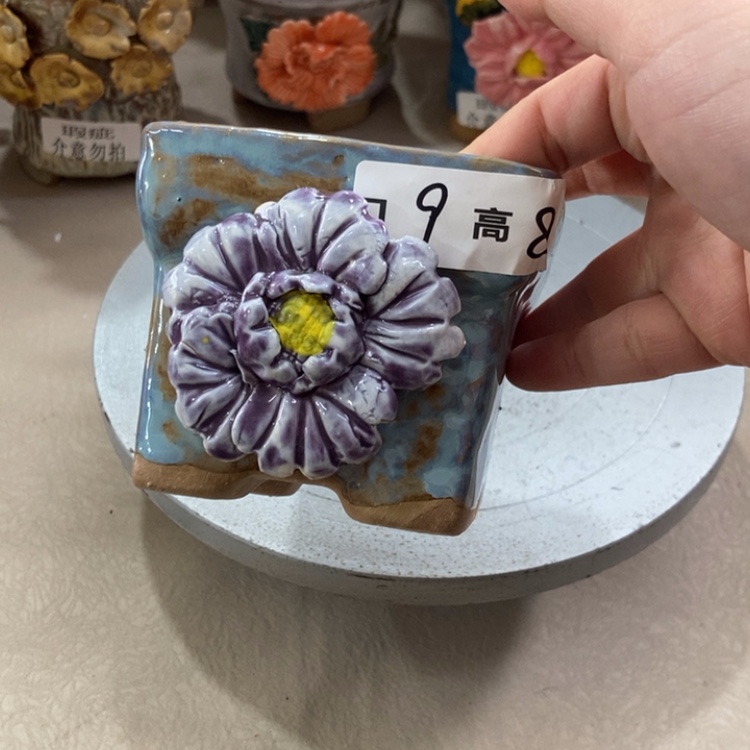 【闪购商品】红陶福利福利福利多多