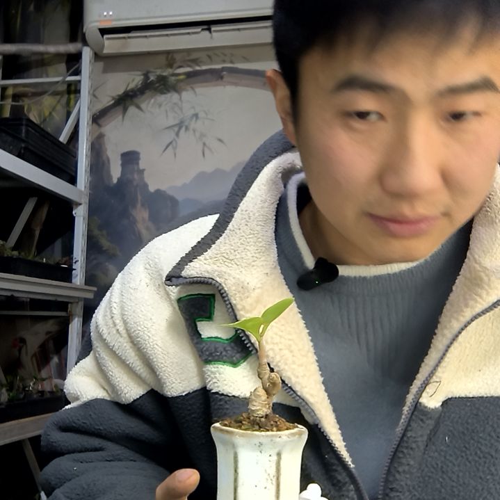 观***鳉中青园艺一物一拍花291