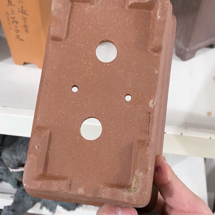 紫砂花盆好评的人也会