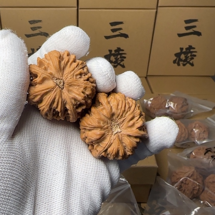 文玩核桃吊坠象简单包装玉龙三棱