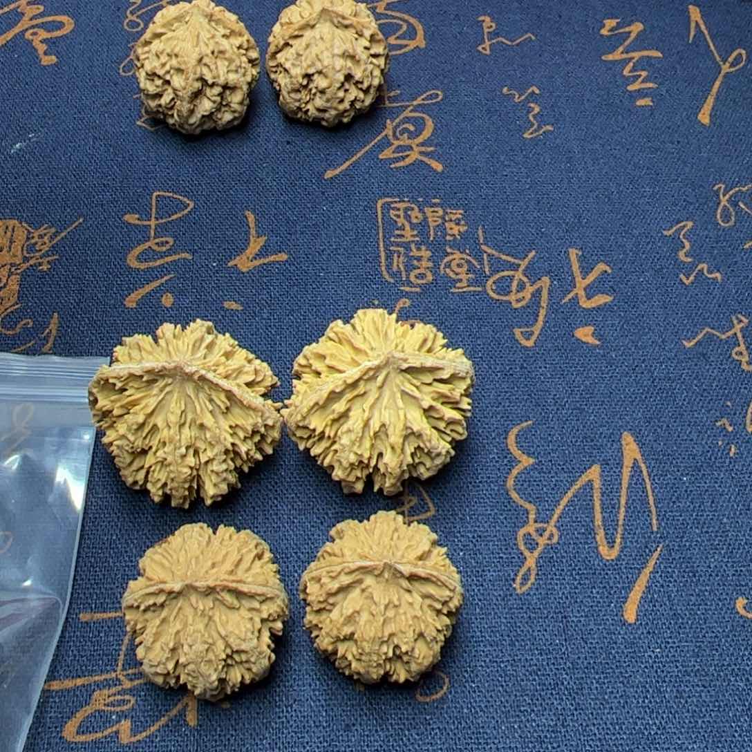 文玩核桃把件秦岭野生植物核桃