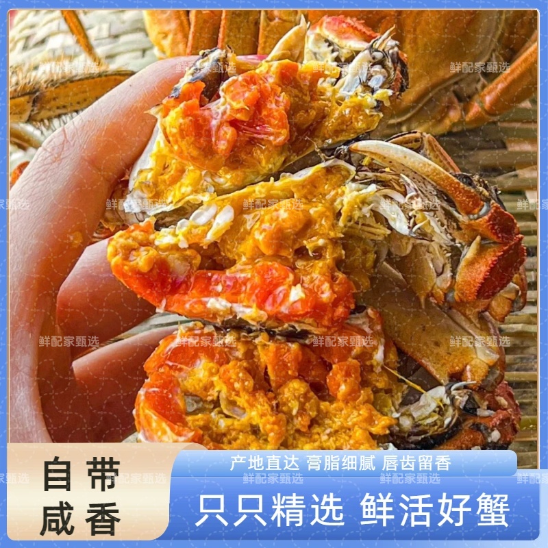 【活蟹】盘锦河蟹 公蟹 1.6-1.4两/只 2斤/3斤 （16-24只）鲜活发货