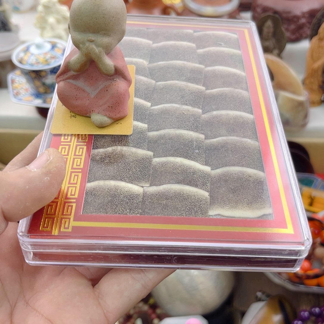 瓷片静*啊啊啊啊啊啊啊啊啊啊啊啊啊啊啊