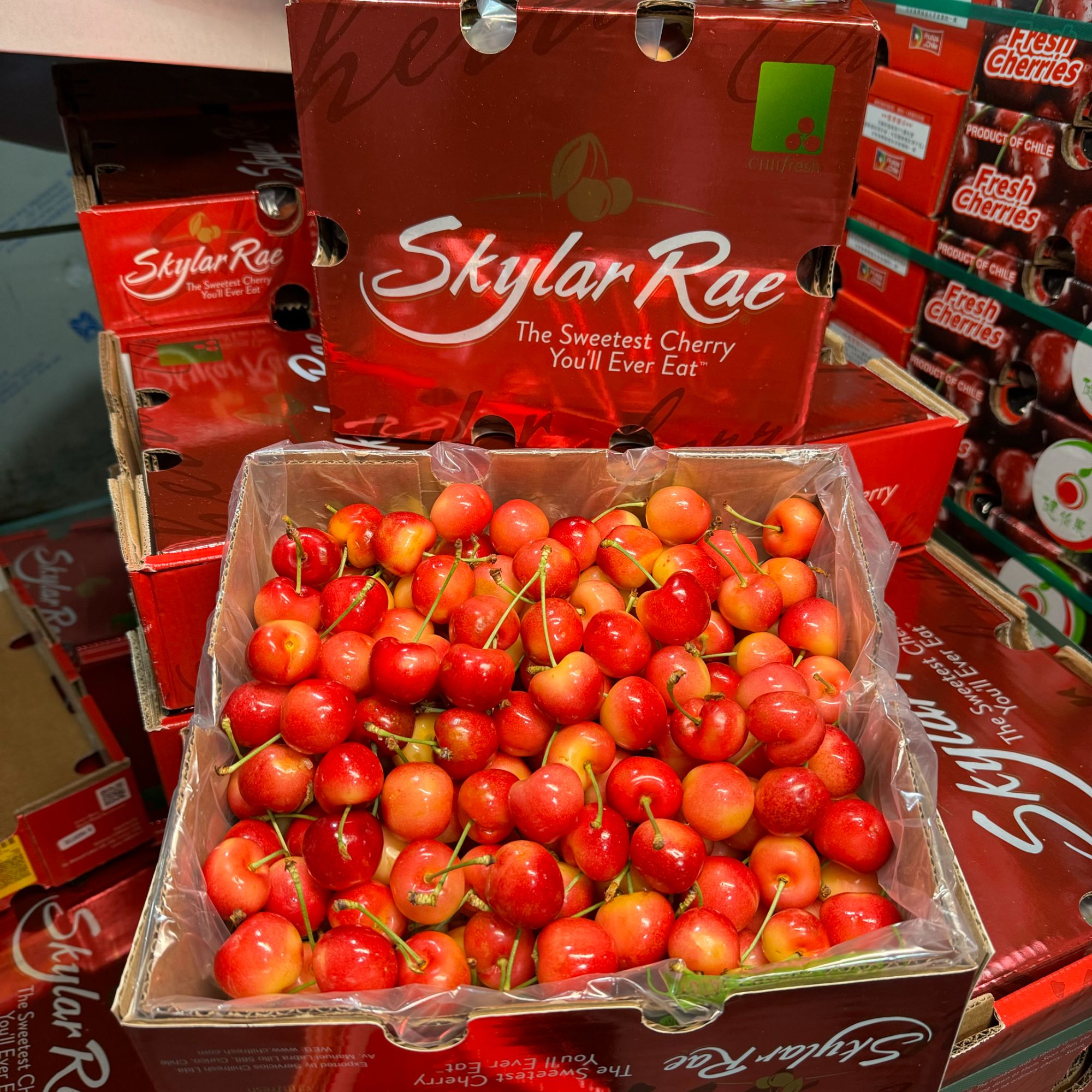 【乐鲜果园】智利空运斯凯拉雷2J/4J金车进口樱桃 内附果径卡