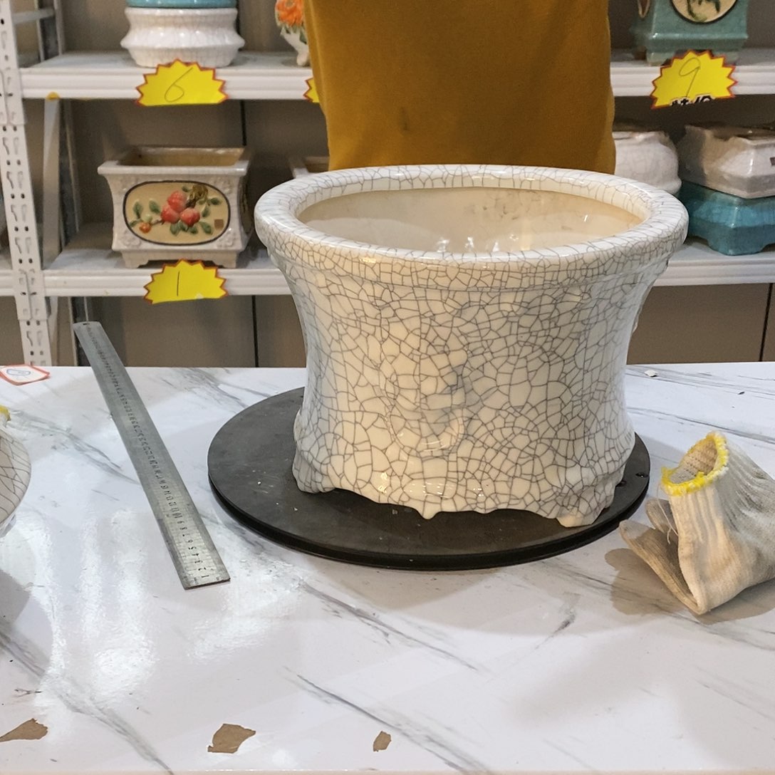 花盆花盆是个很不错哒呀