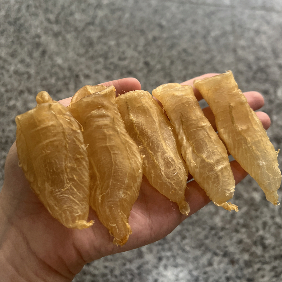 本港白花胶鱼胶68头规格高品质花胶干货