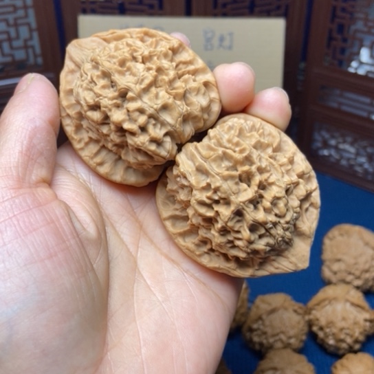 文玩核桃把件小**学官帽48