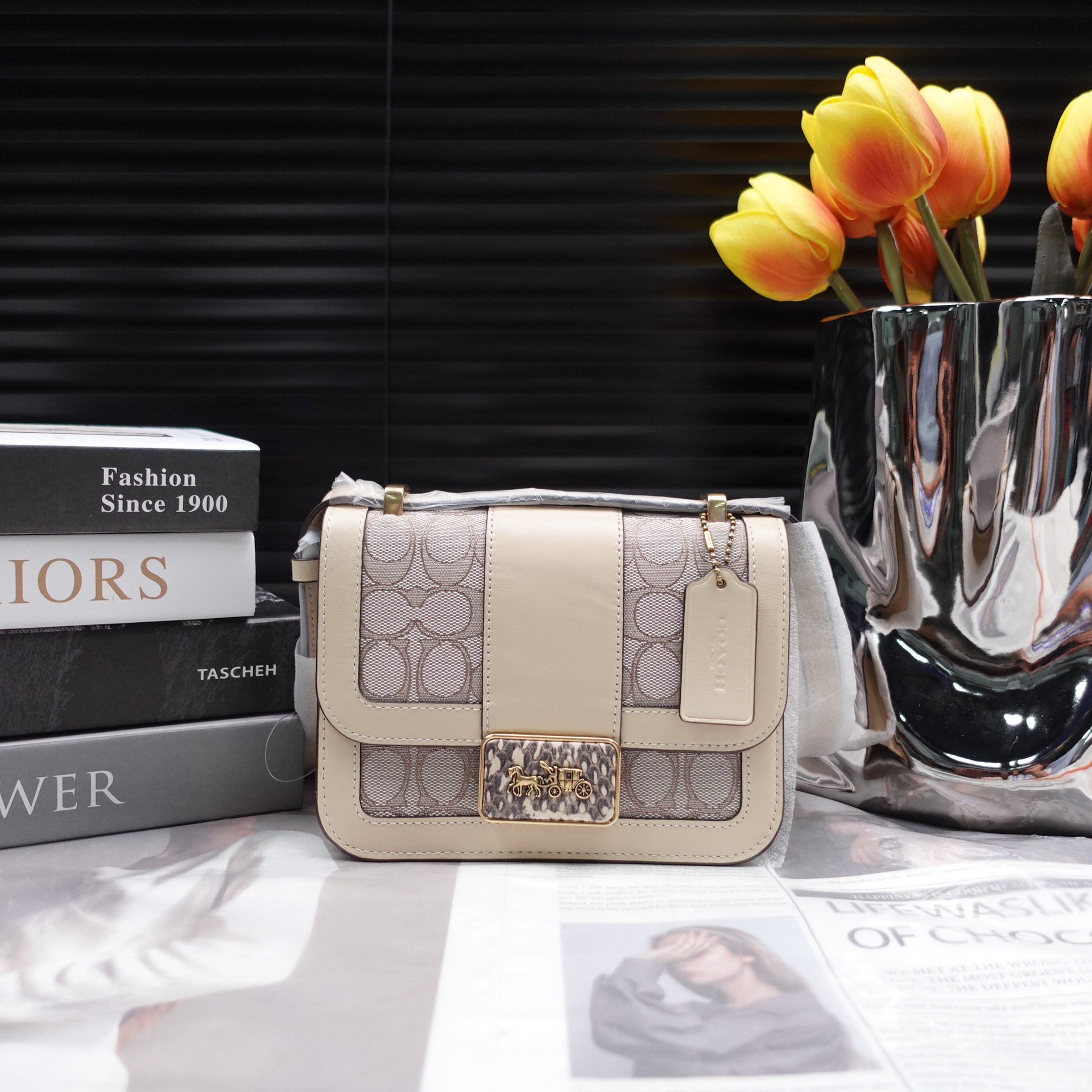 95新 COACH/蔻驰 单肩包/T10229230