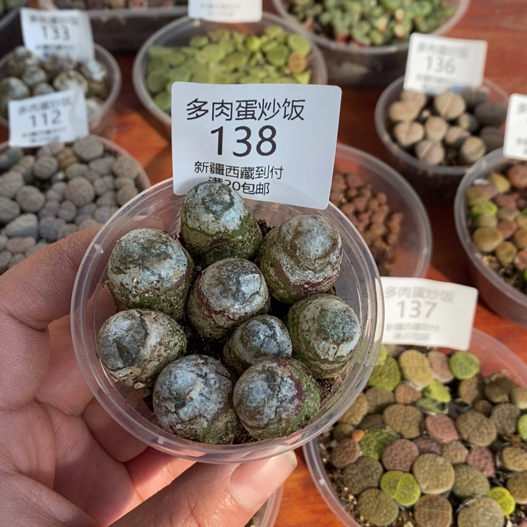 感谢您的支持，00138