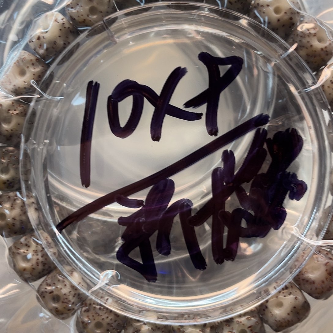 星月菩提吊坠菩提