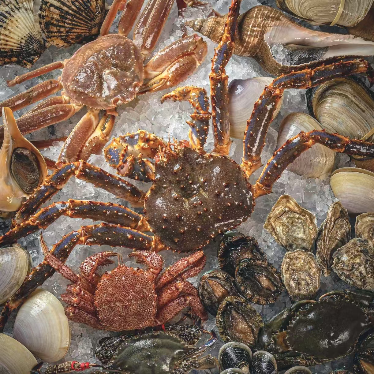 虾蟹鱼现称 现拍现装 直播现场称重