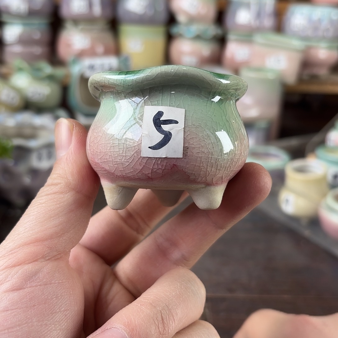 量货/口4.5 深浅搭配发6个