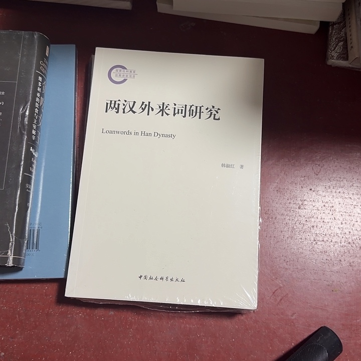 d***v俩汉外来词研究瑕疵书