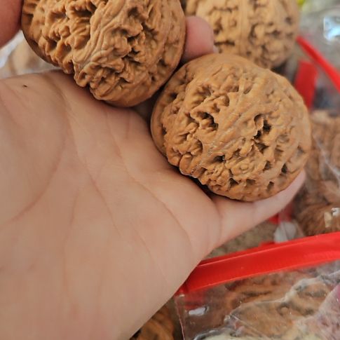 改***数文玩核桃吊坠49粗筋