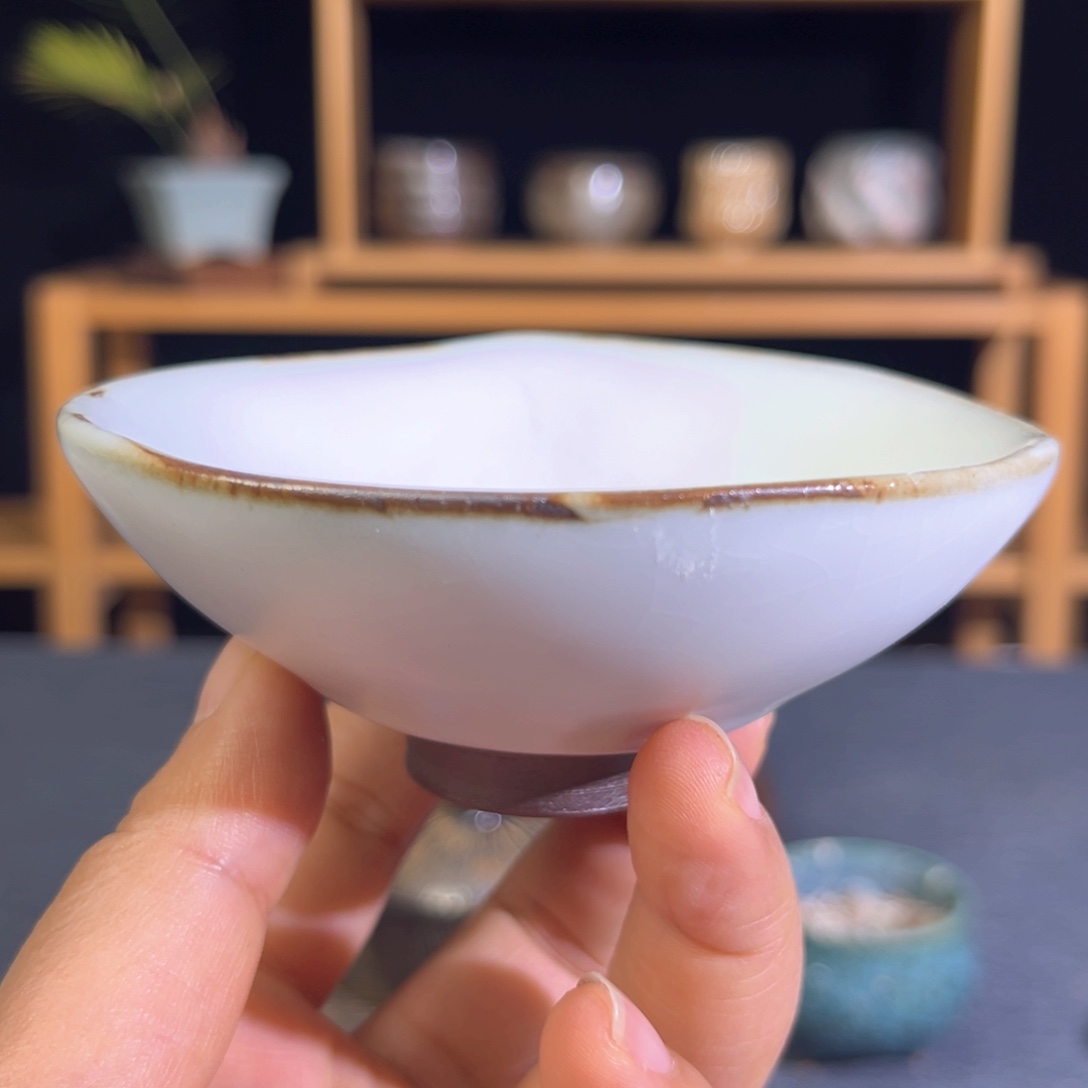 炉杯杯杯杯杯杯杯杯